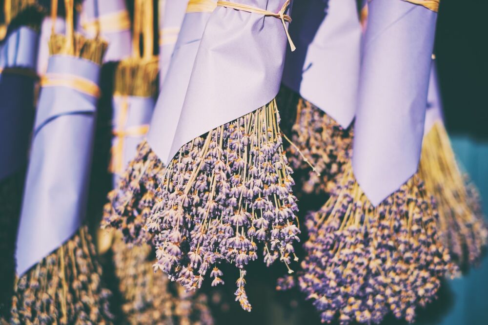 bouquets de lavande séchée