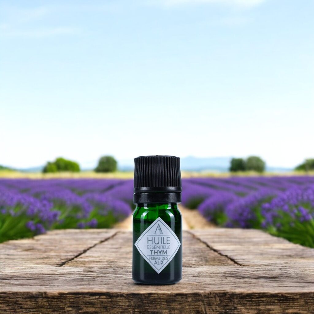 thym à thujanol