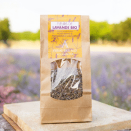 Fleurs de lavande pour tisane